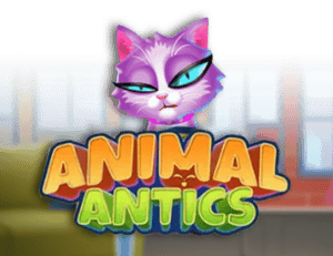 Animal Antics