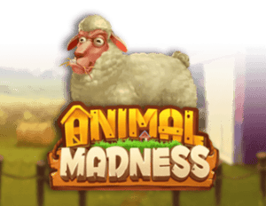 Animal Madness