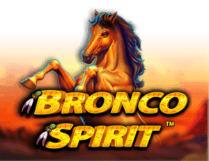 Bronco Spirit