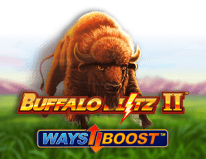 Buffalo Blitz 2