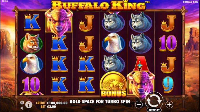 Igrajte besplatno Buffalo King