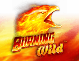 Burning Wild