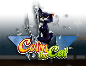 Colin the Cat