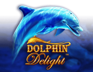 Dolphin Delight