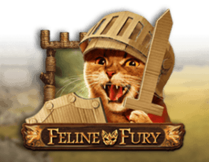 Feline Fury