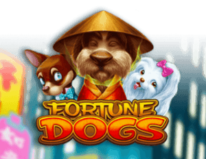 Fortune Dogs