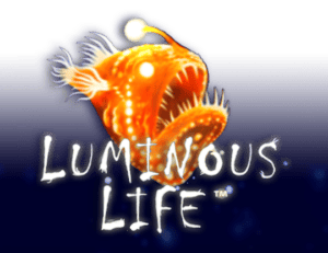 Luminous Life