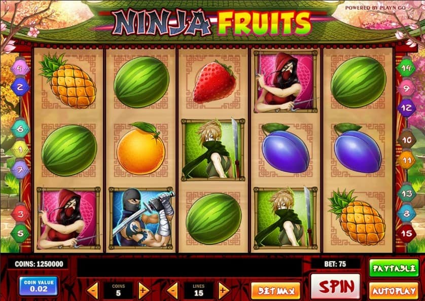 Igrajte besplatno Ninja Fruits