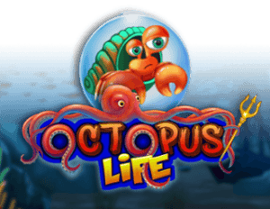 Octopus Life