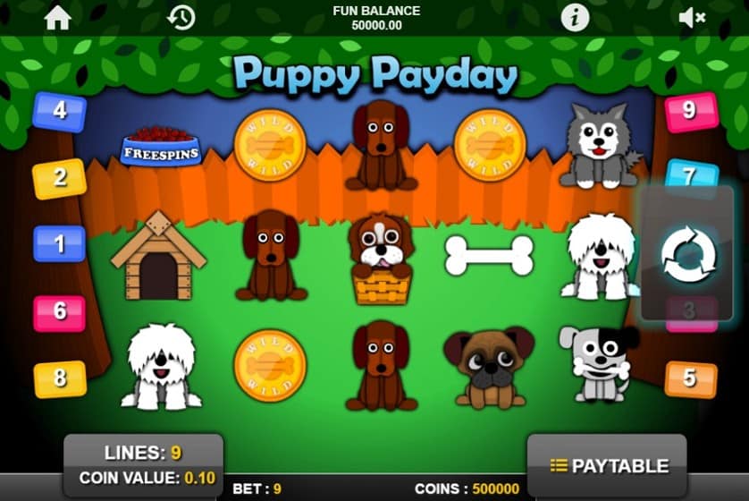 Igrajte besplatno Puppy Payday