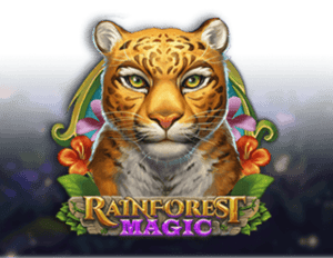 Rainforest Magic