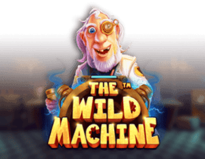 The Wild Machine