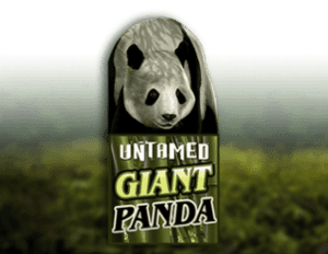 Untamed Giant Panda