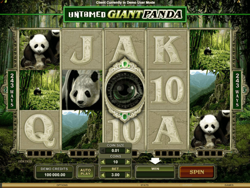 Igrajte besplatno Untamed Giant Panda