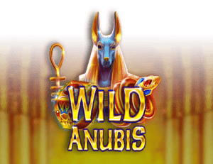 Wild Anubis