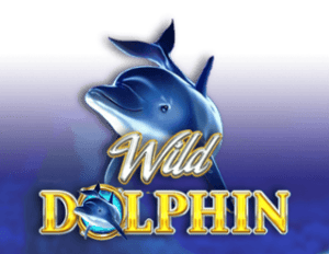 Wild Dolphin