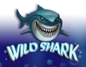 Wild Shark