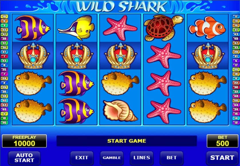 Igrajte besplatno Wild Shark