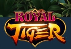 Royal Tiger