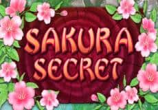 Sakura Secret