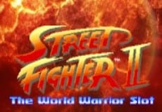 Street Fighter 2: The World Warrior