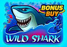 Wild Shark Bonus Buy