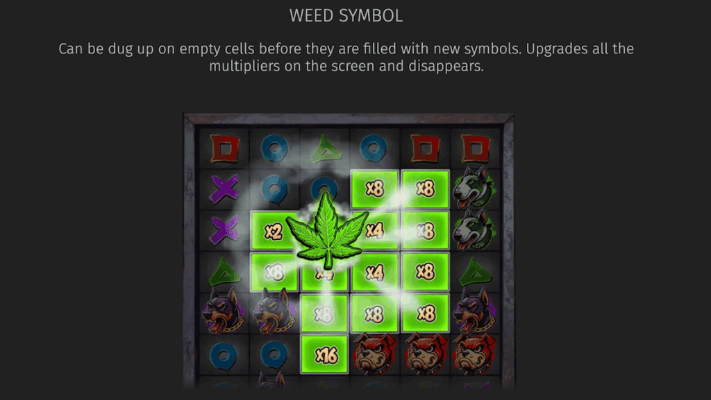 Snoop Dogg Dollars BGaming simboli